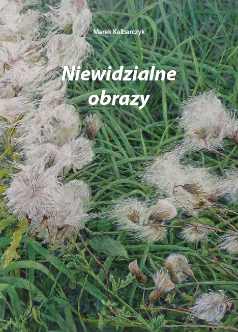 Okładka książki: Niewidzialne obrazy - Marek Kalbarczyk